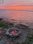 9300 FRONT ROAD, Loyalist (amherst Island), Ontario, K0H2S0 (ID X13127644)