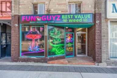 133 DUNLOP STREET E Barrie (City Centre) Ontario photo 3