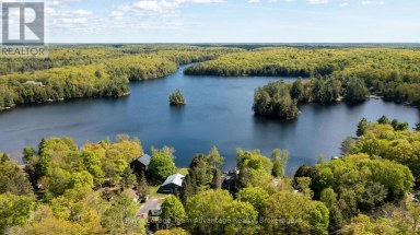 1 WREN PLACE McDougall Ontario photo 34