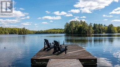 1 WREN PLACE McDougall Ontario photo 4
