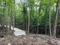 LOT 26 WEST COURT, Dysart Et Al (guilford), Ontario, K0M1S0 (ID X13133400)