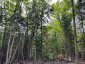 LOT 26 WEST COURT, Dysart Et Al (guilford), Ontario, K0M1S0 (ID X13133400)