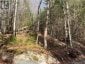 LOT 27 BUSHWOLF LAKE ROAD, Dysart Et Al (guilford), Ontario, K0M1S0 (ID X13133408)