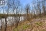 PT LT 6 BRADY LAKE ROAD, Minden Hills (minden), Ontario, K0M2K0 (ID X13135692)