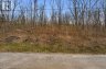 PT LT 6 BRADY LAKE ROAD, Minden Hills (minden), Ontario, K0M2K0 (ID X13135692)