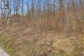 PT LT 6 BRADY LAKE ROAD, Minden Hills (minden), Ontario, K0M2K0 (ID X13135692)