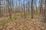 PT LT 6 BRADY LAKE ROAD, Minden Hills (minden), Ontario, K0M2K0 (ID X13135692)