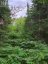 PT LT 8 OLD BARRY'S BAY ROAD, Madawaska Valley, Ontario, K0J1L0 (ID X13136964)