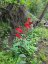 PT LT 8 OLD BARRY'S BAY ROAD, Madawaska Valley, Ontario, K0J1L0 (ID X13136964)