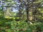 PT LT 8 OLD BARRY'S BAY ROAD, Madawaska Valley, Ontario, K0J1L0 (ID X13136964)