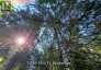 PT LT 8 OLD BARRY'S BAY ROAD, Madawaska Valley, Ontario, K0J1L0 (ID X13136964)
