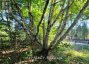 PT LT 8 OLD BARRY'S BAY ROAD, Madawaska Valley, Ontario, K0J1L0 (ID X13136964)