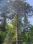 PT LT 8 OLD BARRY'S BAY ROAD, Madawaska Valley, Ontario, K0J1L0 (ID X13136964)