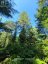 PT LT 8 OLD BARRY'S BAY ROAD, Madawaska Valley, Ontario, K0J1L0 (ID X13136964)