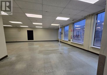 295 PINNACLE STREET Belleville (Belleville Ward) Ontario photo 10