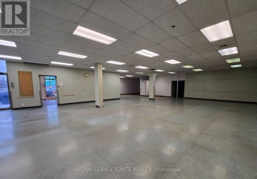 295 PINNACLE STREET Belleville (Belleville Ward) Ontario photo 12