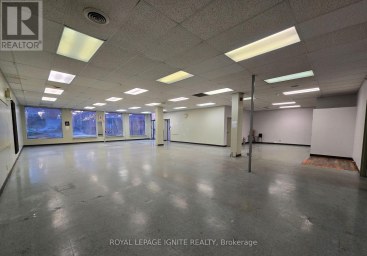 295 PINNACLE STREET Belleville (Belleville Ward) Ontario photo 13