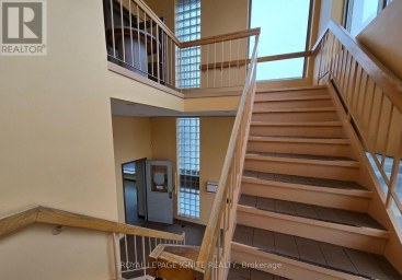295 PINNACLE STREET Belleville (Belleville Ward) Ontario photo 21