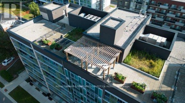 203 - 250 ALBERT STREET, Waterloo, Ontario, N2L0H5