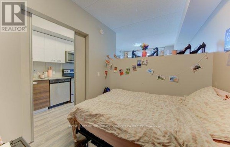 203 - 250 ALBERT STREET, Waterloo, Ontario, N2L0H5