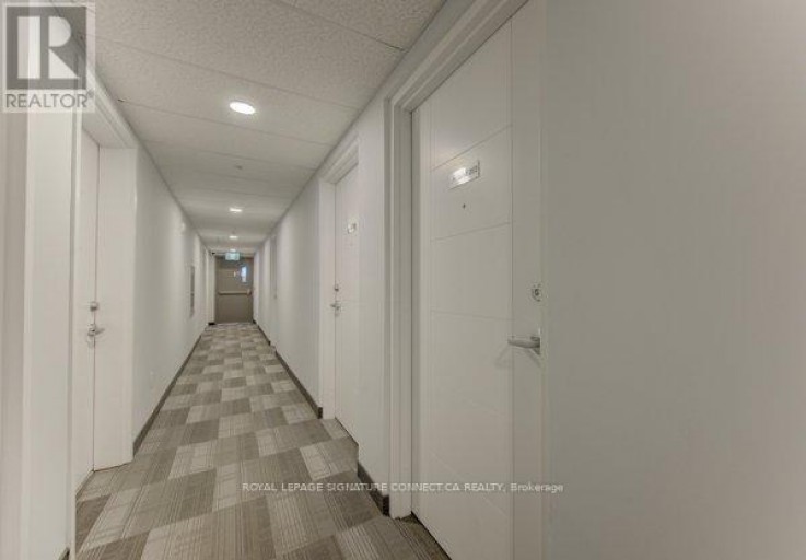 203 - 250 ALBERT STREET, Waterloo, Ontario, N2L0H5