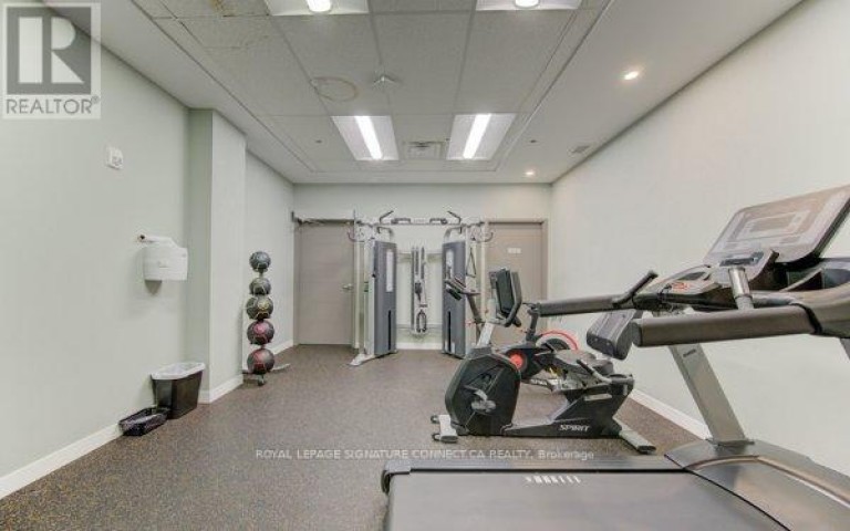 203 - 250 ALBERT STREET, Waterloo, Ontario, N2L0H5