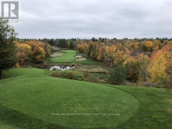 104 - 120 CARRICK TRAIL Gravenhurst (Muskoka (S)) Ontario photo 20