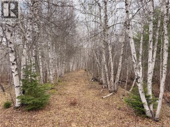 Lots McLaughlin Road Pine Ridge New Brunswick photo 1