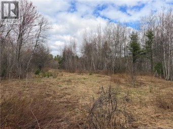 Lots McLaughlin Road Pine Ridge New Brunswick photo 2