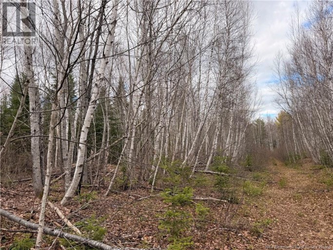 Lots McLaughlin Road, Pine Ridge, New Brunswick, E4W3S6