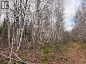 Lots McLaughlin Road Pine Ridge New Brunswick photo 3