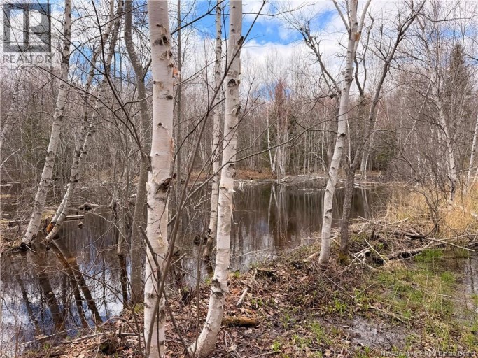 Lots McLaughlin Road, Pine Ridge, New Brunswick, E4W3S6