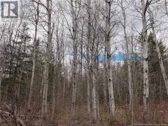 Lots McLaughlin Road Pine Ridge New Brunswick photo 5