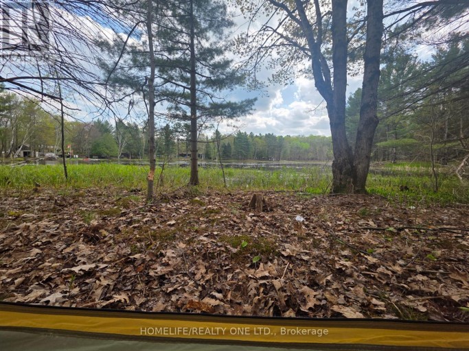 0 VILLAGE 1 ROAD, Muskoka Lakes (Watt), Ontario, P0B1M0