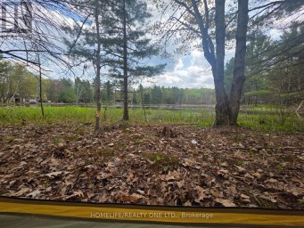 0 VILLAGE 1 ROAD Muskoka Lakes (Watt) Ontario photo 10