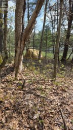 0 VILLAGE 1 ROAD Muskoka Lakes (Watt) Ontario photo 11
