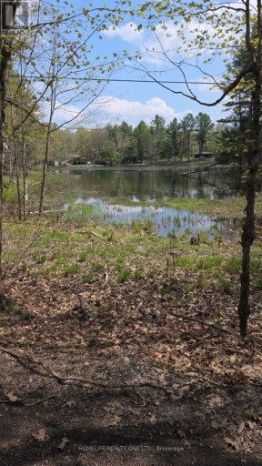 0 VILLAGE 1 ROAD, Muskoka Lakes (Watt), Ontario, P0B1M0
