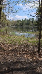 0 VILLAGE 1 ROAD Muskoka Lakes (Watt) Ontario photo 12