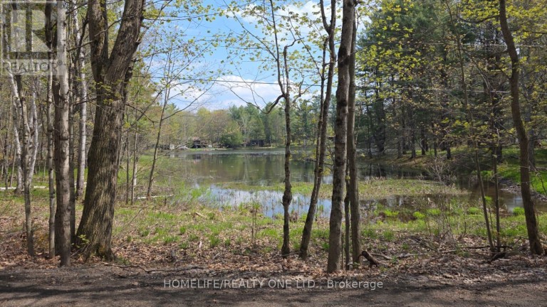 0 VILLAGE 1 ROAD, Muskoka Lakes (Watt), Ontario, P0B1M0
