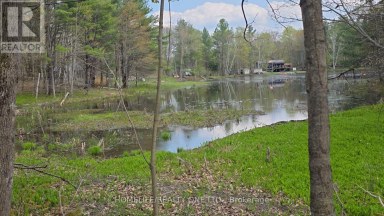 0 VILLAGE 1 ROAD Muskoka Lakes (Watt) Ontario photo 14