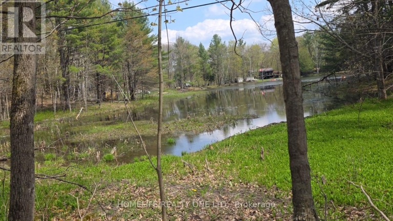 0 VILLAGE 1 ROAD, Muskoka Lakes (Watt), Ontario, P0B1M0