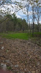 0 VILLAGE 1 ROAD Muskoka Lakes (Watt) Ontario photo 16