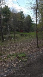 0 VILLAGE 1 ROAD Muskoka Lakes (Watt) Ontario photo 17