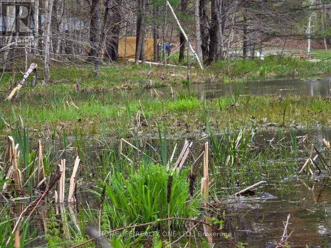 0 VILLAGE 1 ROAD, Muskoka Lakes (Watt), Ontario, P0B1M0