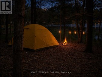 0 VILLAGE 1 ROAD Muskoka Lakes (Watt) Ontario photo 2