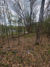 0 VILLAGE 1 ROAD Muskoka Lakes (Watt) Ontario photo 21