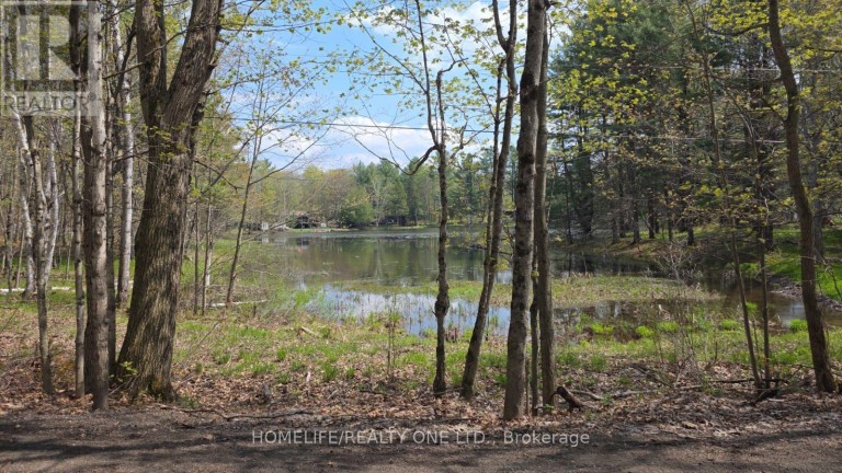 0 VILLAGE 1 ROAD, Muskoka Lakes (Watt), Ontario, P0B1M0