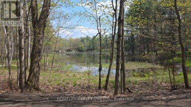 0 VILLAGE 1 ROAD Muskoka Lakes (Watt) Ontario photo 22