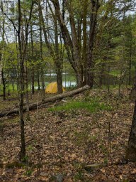 0 VILLAGE 1 ROAD Muskoka Lakes (Watt) Ontario photo 3