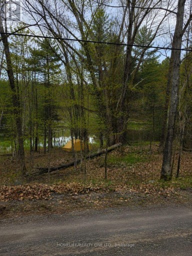 0 VILLAGE 1 ROAD, Muskoka Lakes (Watt), Ontario, P0B1M0
